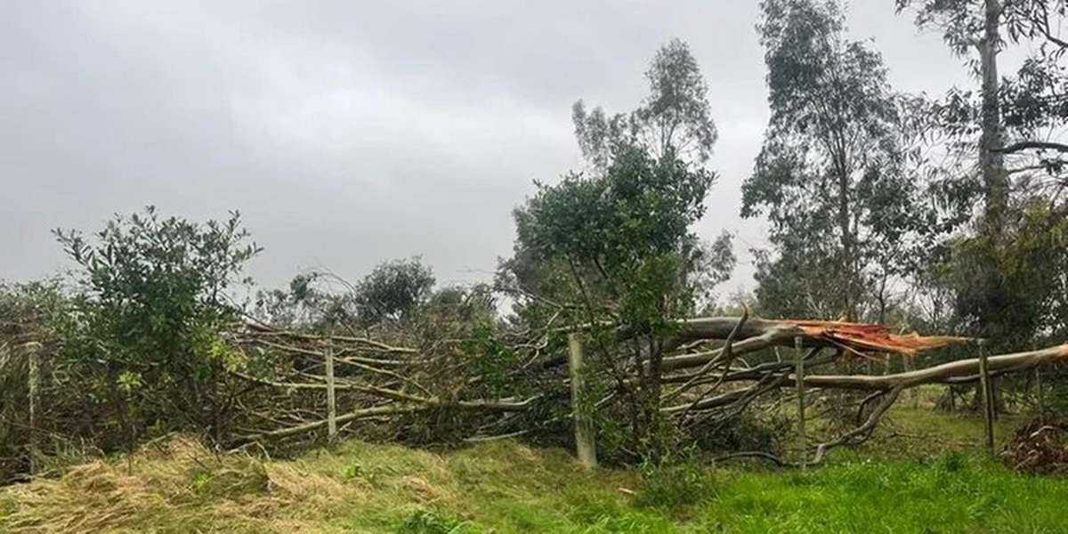 Possível tornado derruba torres de energia e causa destruição em cidade do RS