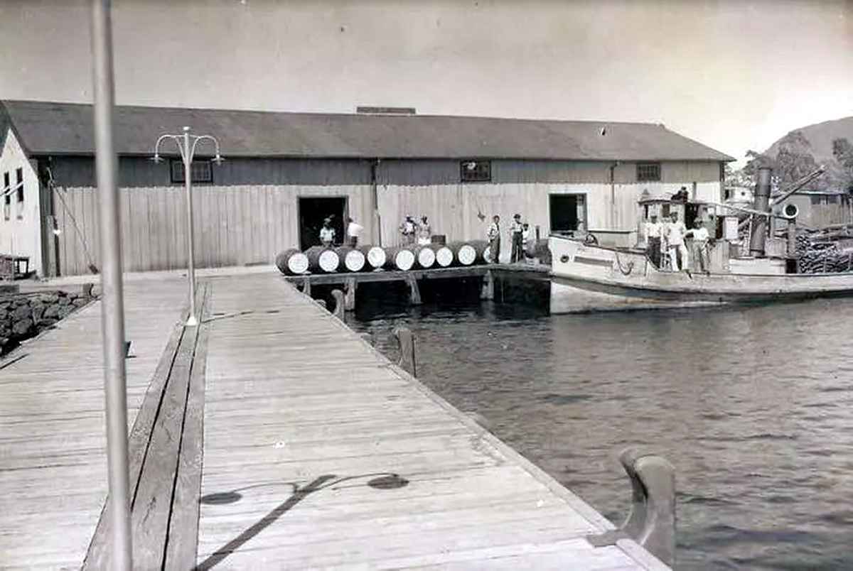 Naufrágio do Bento Gonçalves