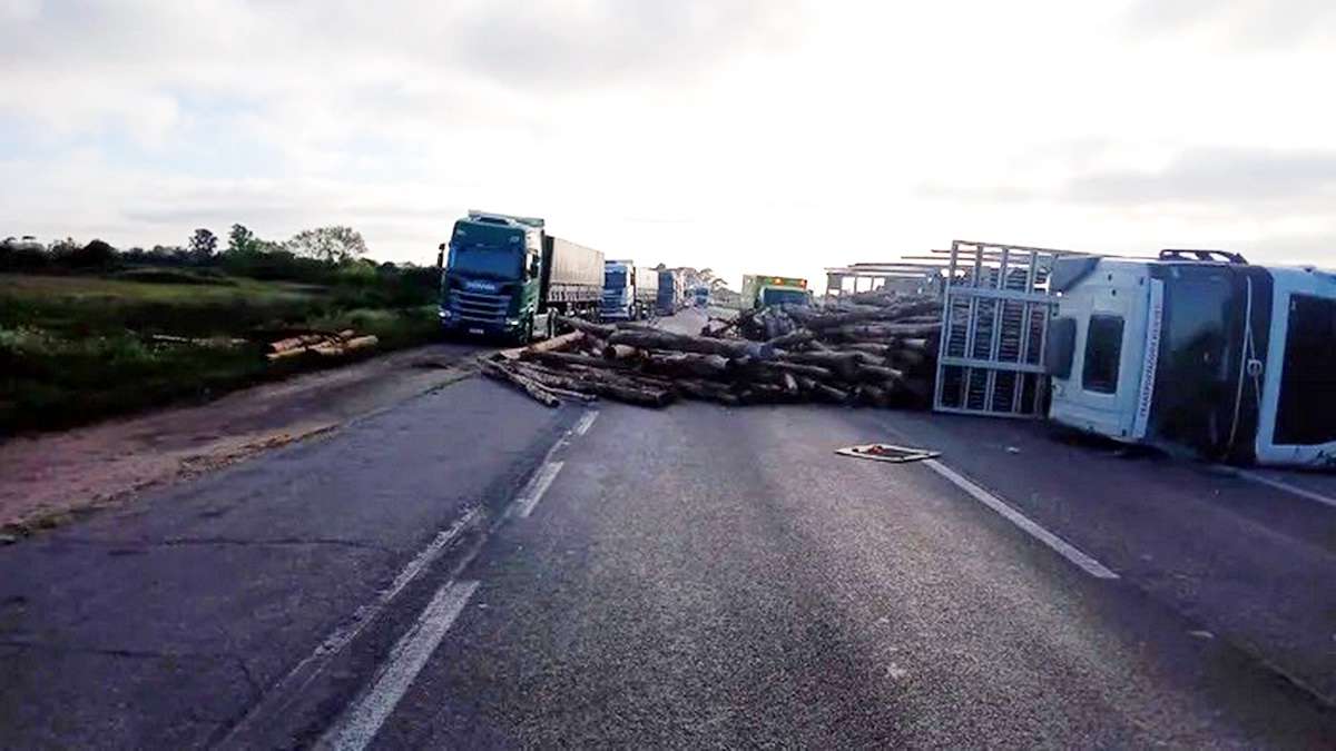 Caminhão tomba e espalha toras de madeira em rodovia do Litoral Sul