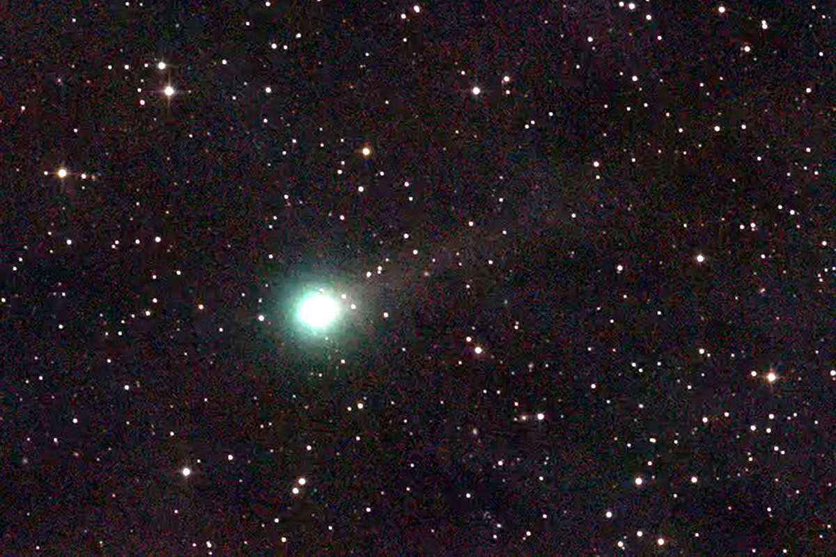 Cometa Lemmon