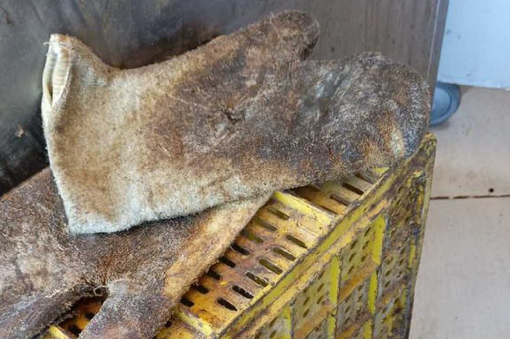 Sujeira e alimentos vencidos