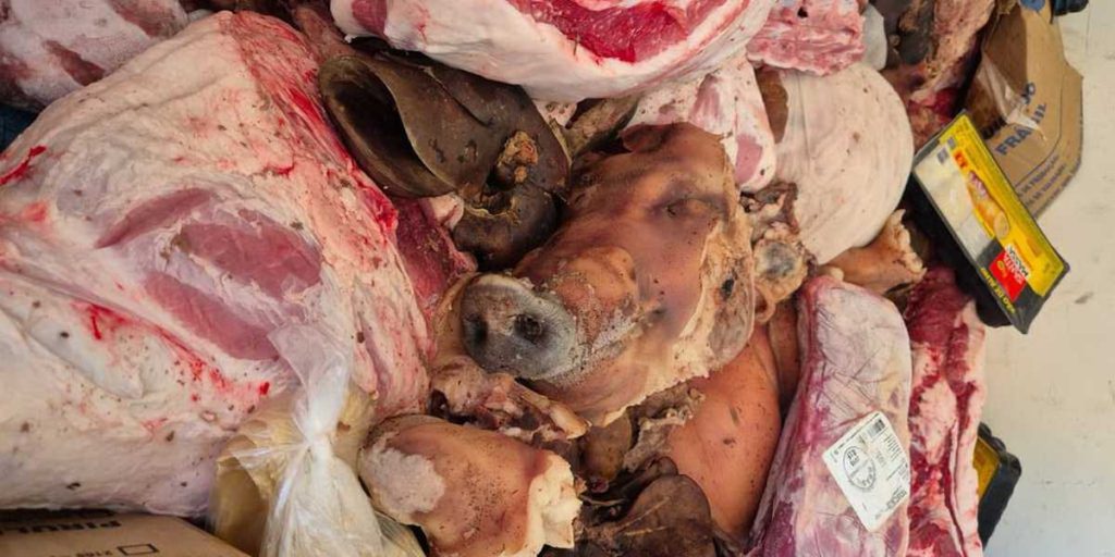 Segurança dos Alimentos