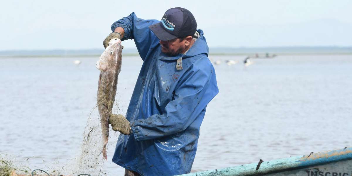 Safra Bagre 2025/2026