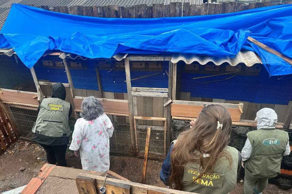 Tráfico de animais silvestres