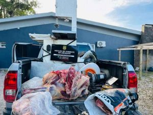 Desmantelados abatedouros clandestinos em área com jacarés no Litoral