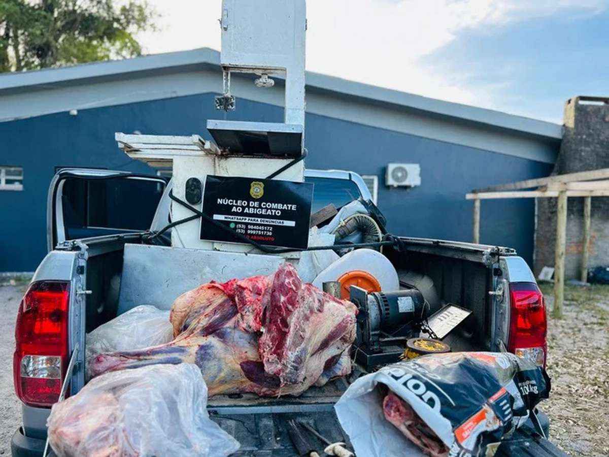 Desmantelados abatedouros clandestinos em área com jacarés no Litoral