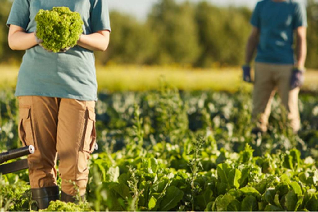 RS ganha cinco novas adesões ao Terra Cidadã e Osório estreia atendimento a quilombolas
