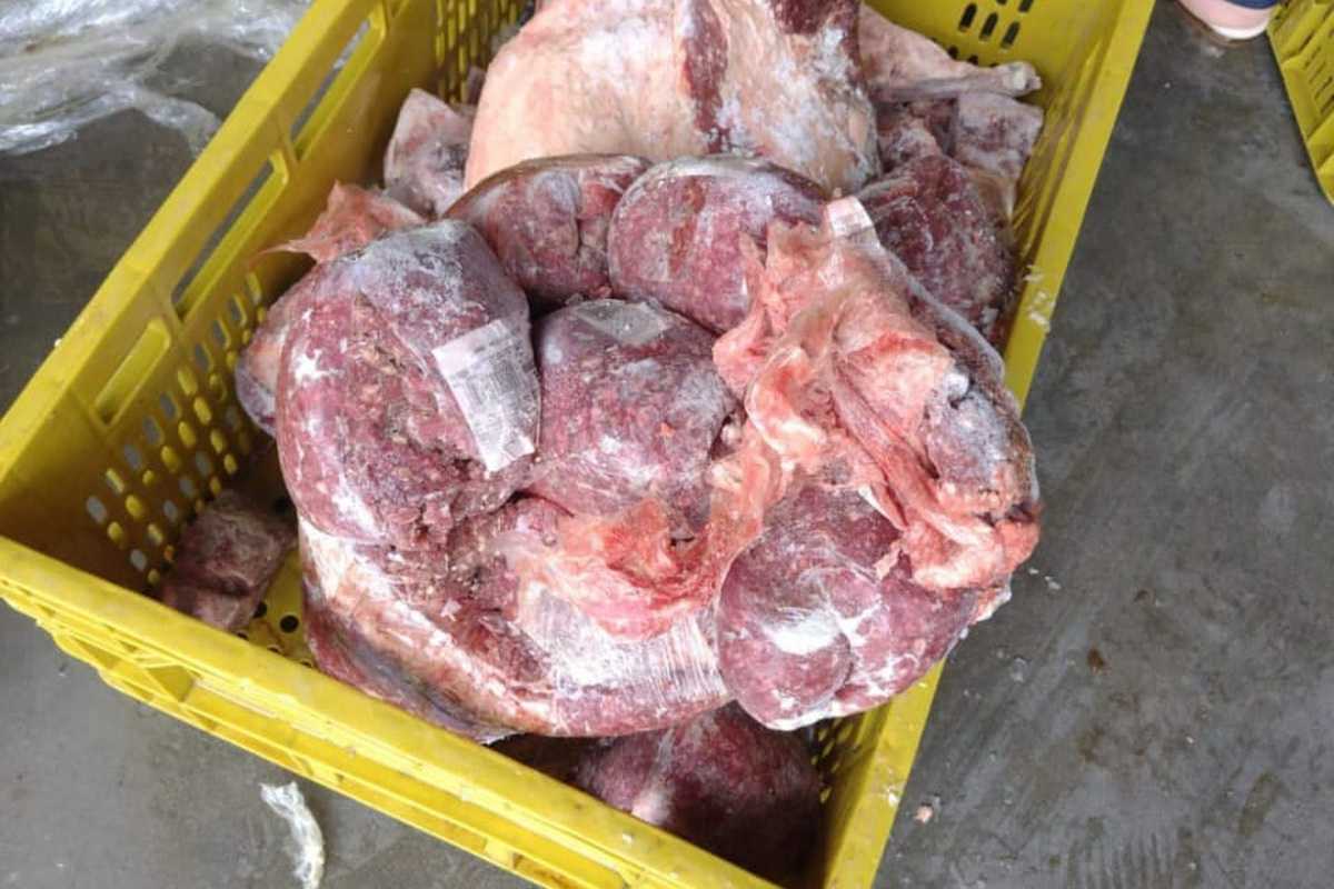 Meia tonelada de alimentos