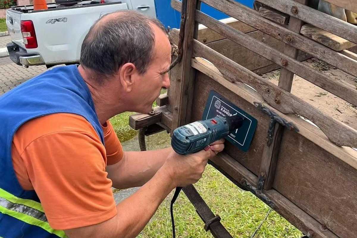 Veículos de tração animal