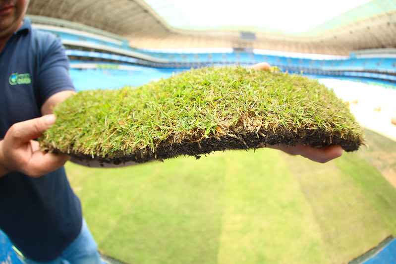 Empresa do Litoral Norte leva grama de Copa do Mundo para a Arena do Grêmio 50