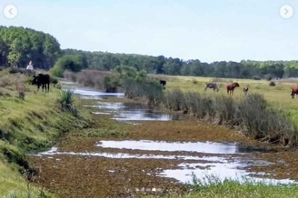 Barramento irregular de curso d’água é identificado no Litoral