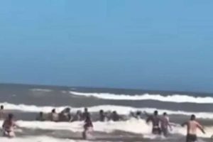Corrente humana evita afogamento de criança no mar