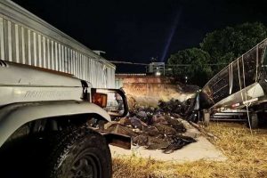 Pesca ilegal do camarão resulta em apreensão de redes e crustáceos