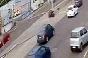 Acidente fatal em Porto Alegre é registrado por câmeras