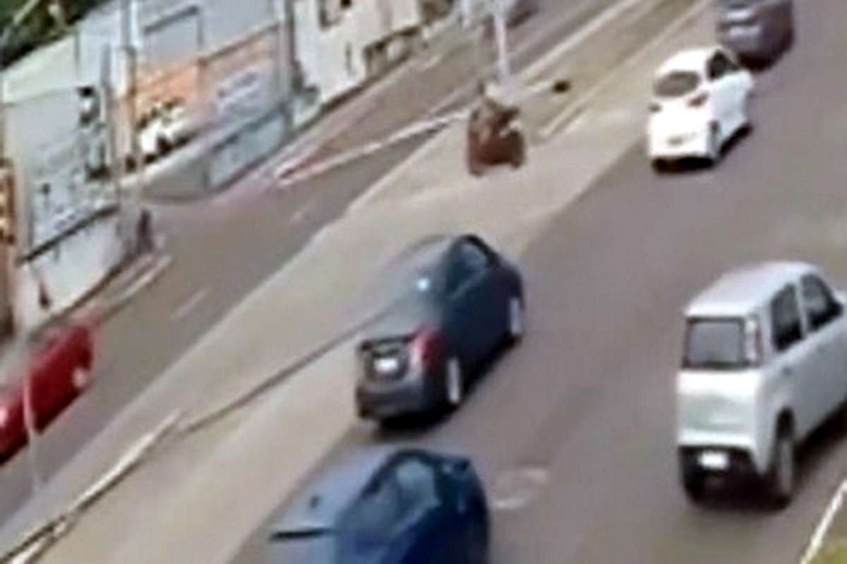 Acidente fatal em Porto Alegre é registrado por câmeras