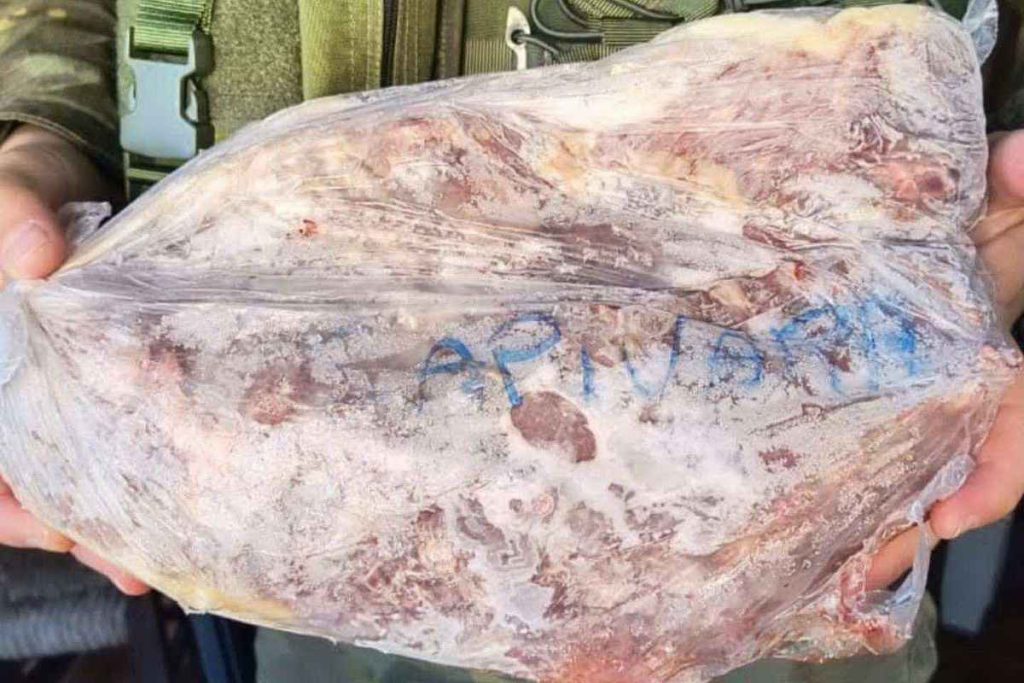 Crime ambiental em Osório resulta em prisão