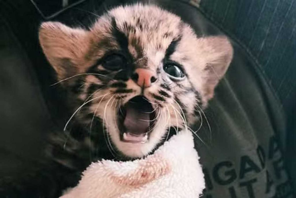 Da perda à esperança