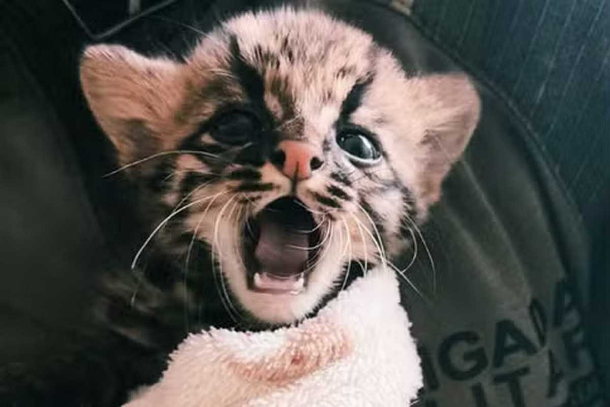 Da perda à esperança