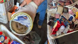 Força-Tarefa apreende 700 kg de alimentos impróprios em Tramandaí