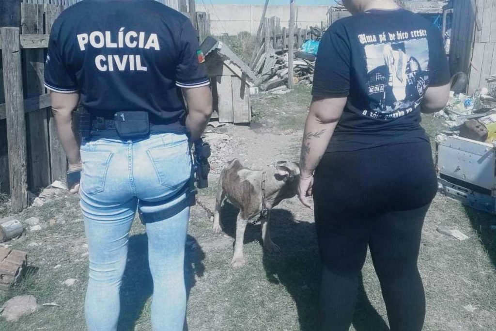 Polícia Civil e DEPA