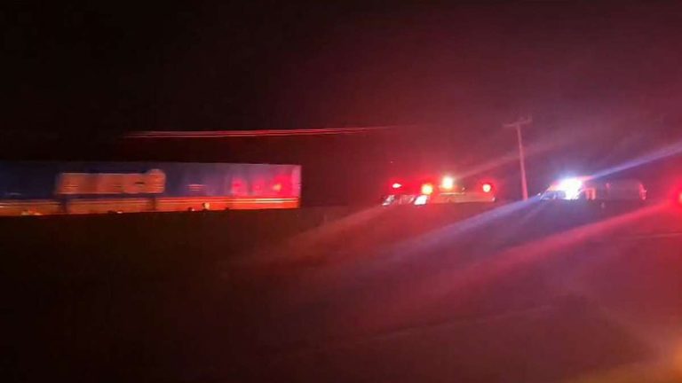 BR-101: osoriense de 53 anos morre atropelado em Terra de Areia