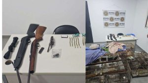 Cativeiro ilegal é desmantelado em Santo Antônio da Patrulha