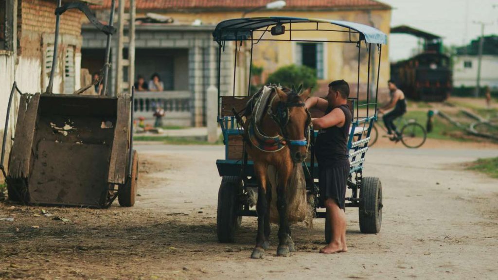 Carroças em Xangri-Lá