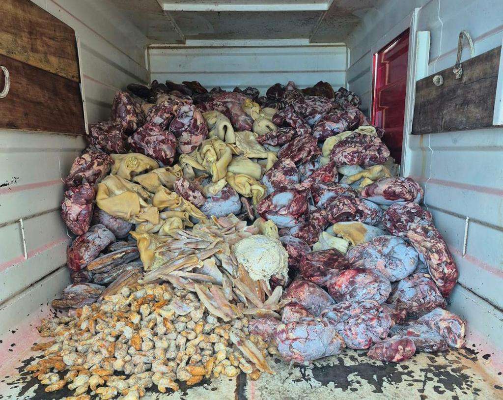 Escândalo sanitário em Imbé: 10 toneladas de carne estragada e empresário preso 30