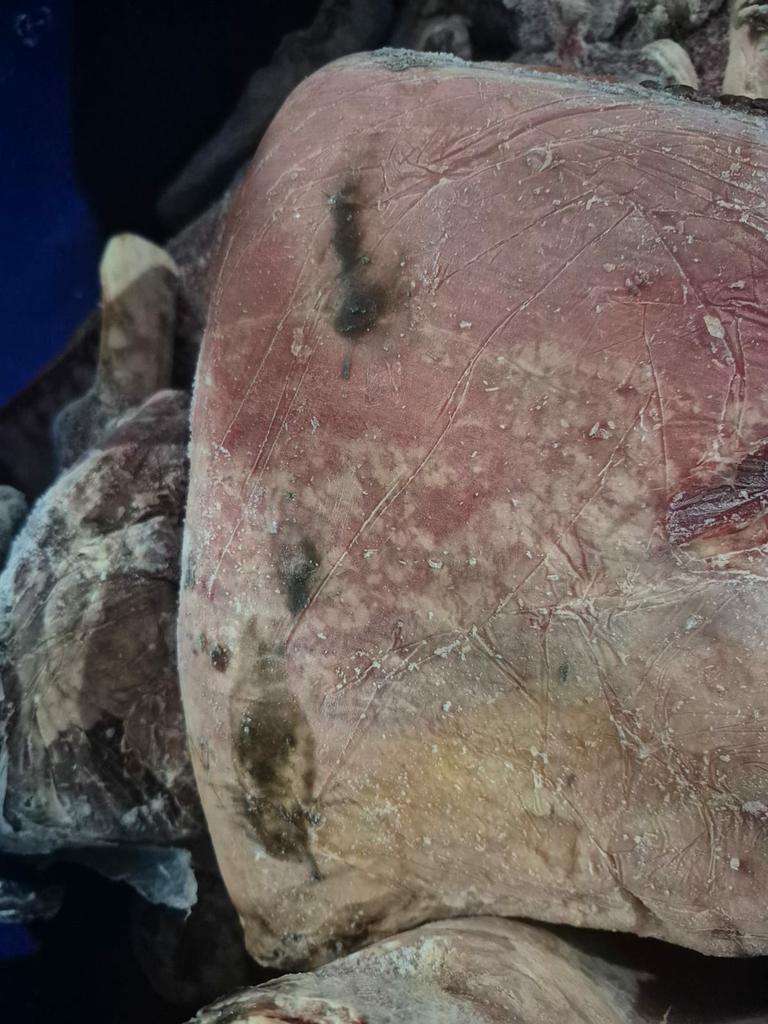 Escândalo sanitário em Imbé: 10 toneladas de carne estragada e empresário preso 34