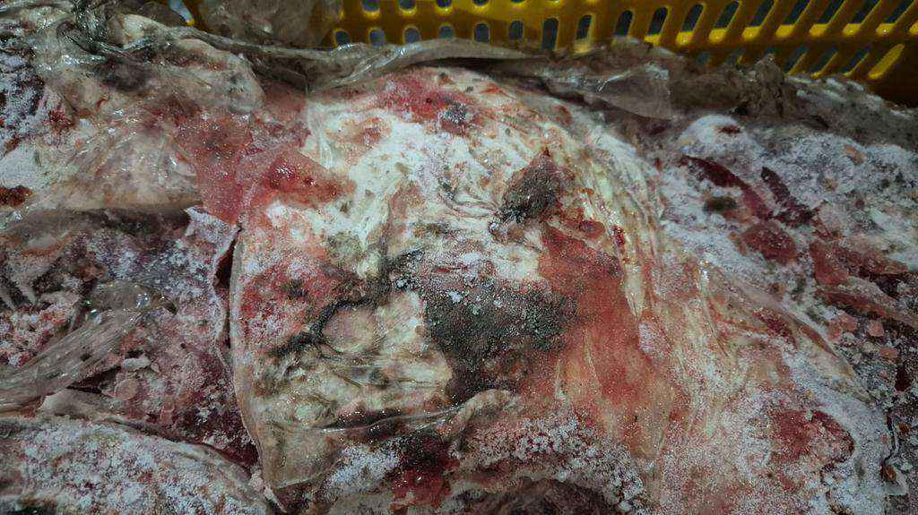 Escândalo sanitário em Imbé: 10 toneladas de carne estragada e empresário preso