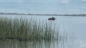 Homem que morreu em acidente no Rio Tramandaí é identificado