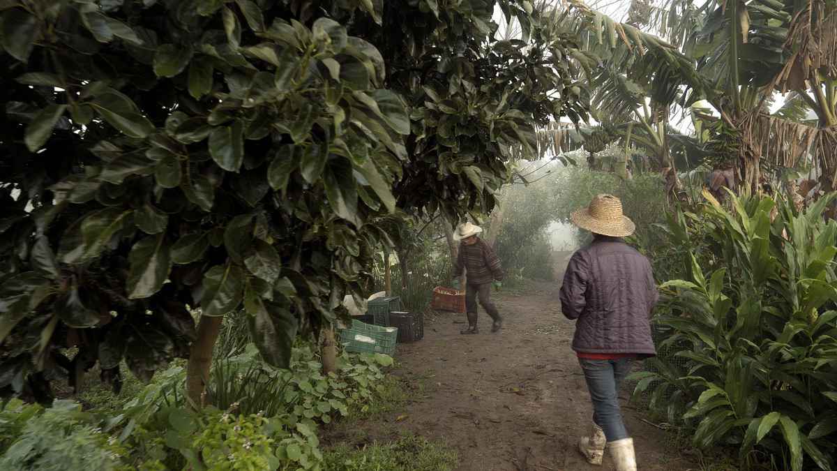 Mostra leva cinema gratuito a Maquiné e Morro Reuter neste fim de semana