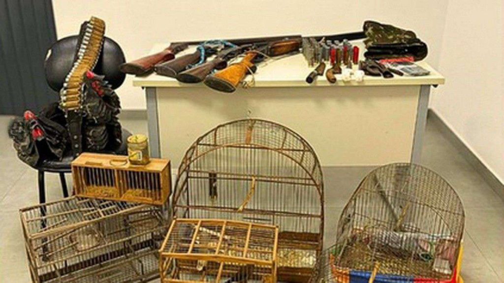 Operação flagra armas, aves em cativeiro e cães maltratados; homem é preso em Santo Antônio da Patrulha