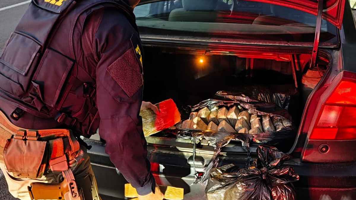 PRF prende mulher com mais de 70 kg de drogas na BR-101 em Torres