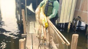 Pesca predatória é flagrada: BM apreende 24 armadilhas ilegais em Tramandaí
