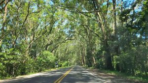 EGR firma acordo para conter dunas na ERS-040