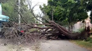 Ciclone na Argentina provoca caos em cidades gaúchas