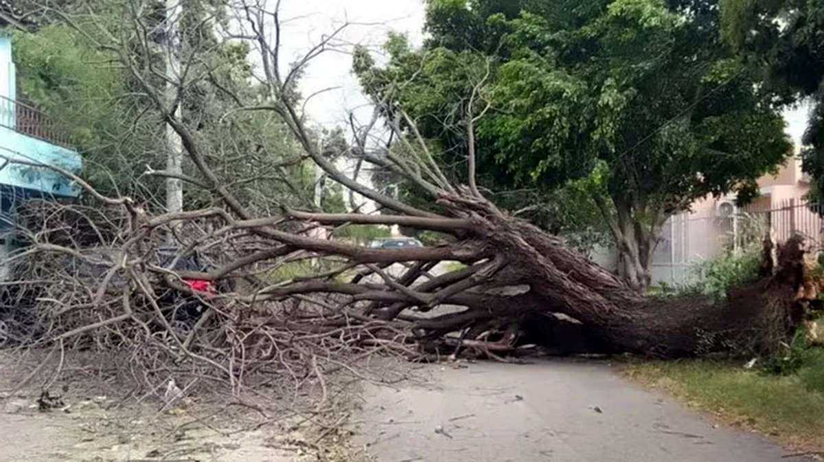 Ciclone na Argentina provoca caos em cidades gaúchas