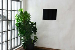 Como manter temperatura e ventilação ideais em ambientes de cultivo: Guia prático e soluções confiáveis