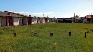 Daer reativa colônias abandonadas no Litoral Norte após 6 anos