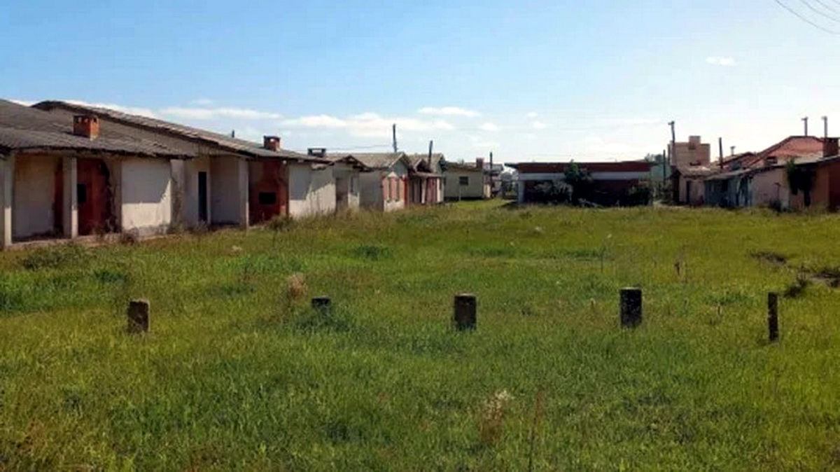 Daer reativa colônias abandonadas no Litoral Norte após 6 anos