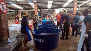 Feira do Peixe 2026 em Osório terá 3 dias e novo ponto em Atlântida Sul