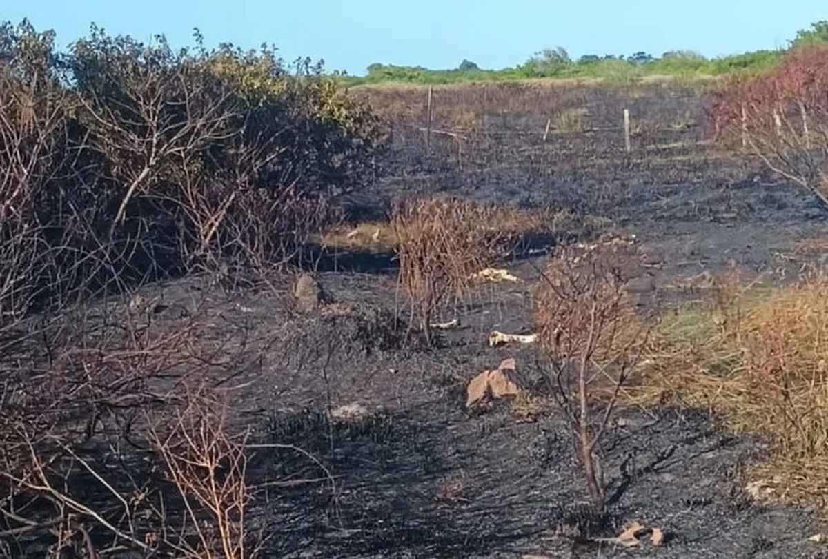 Incêndio força desligamento de energia em São José do Norte