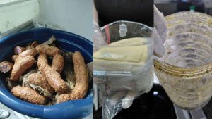 Vigilância Sanitária interdita estabelecimento alimentício em Osório