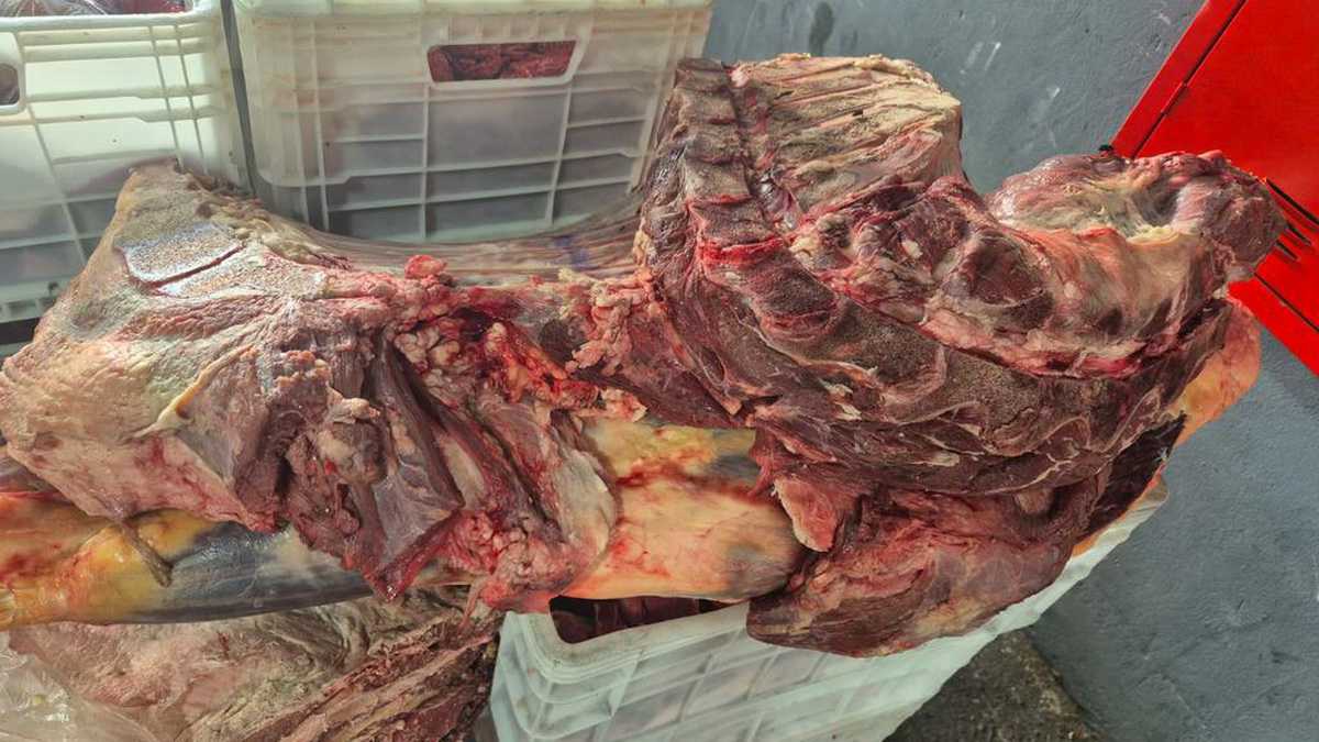 Fiscalização apreende 3,5 toneladas de alimentos e interdita depósito no RS 10 Fiscalização