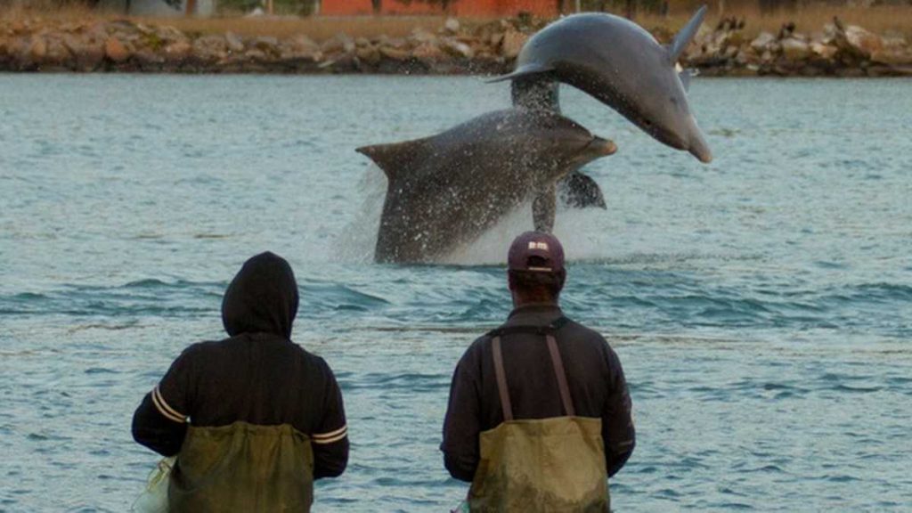 Tarrafeadores, Pesca com botos