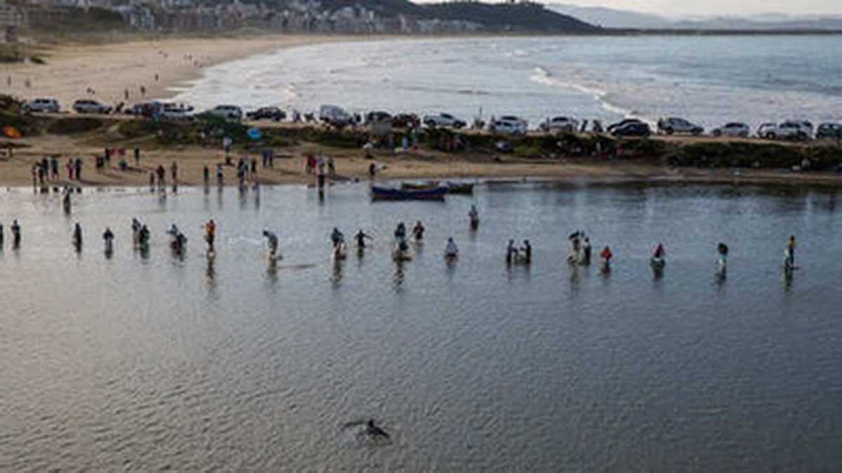 Pesca com botos é reconhecida como patrimônio cultural do Brasil 10 Pesca com botos