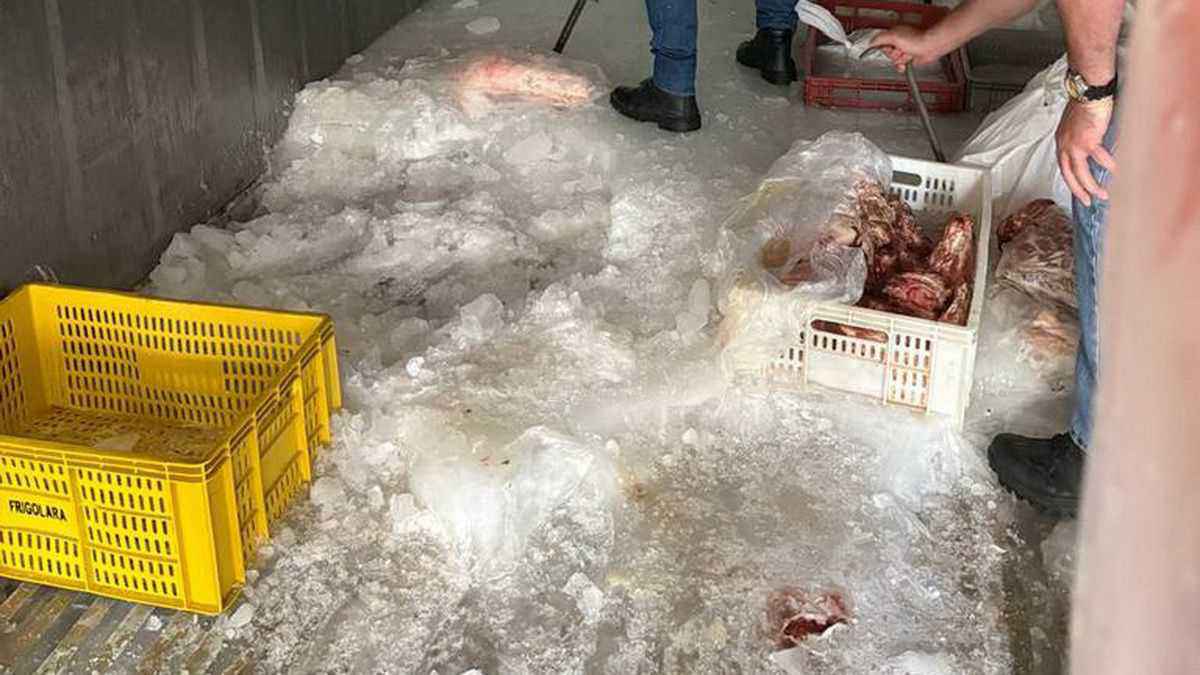 Força-tarefa recolhe toneladas de alimentos impróprios e interdita mercado no RS 11 Força-tarefa