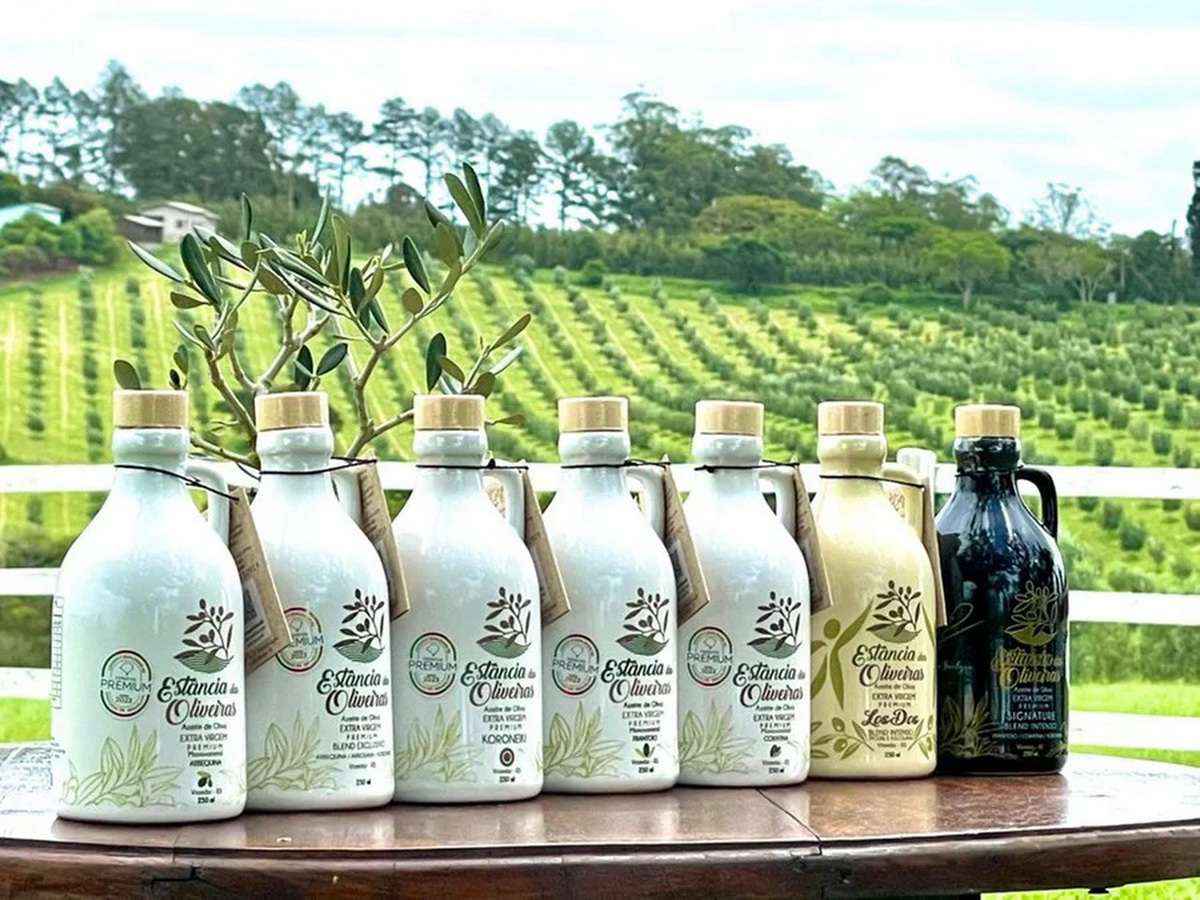 Azeite do RS faz história no mundo com nota perfeita — e custa a partir de R$ 129 10