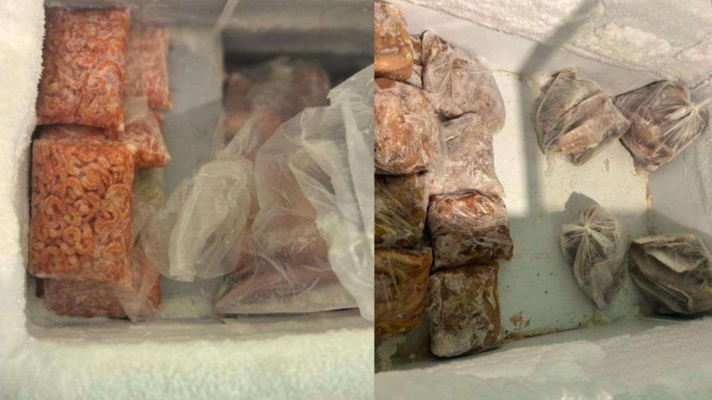 Brigada Militar apreende 190 kg de pescado irregular em Cidreira e acende alerta para risco à saúde